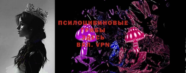 apvp Надым
