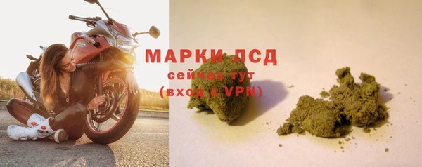 apvp Надым