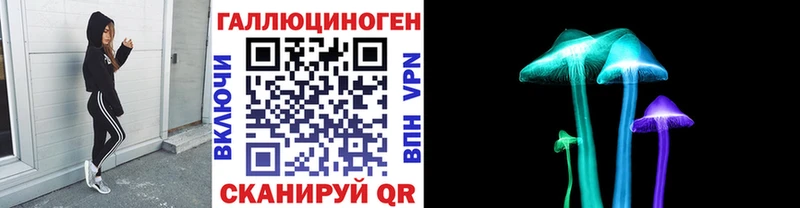 Купить где  Карачев  Псилоцибиновые грибы Cubensis 